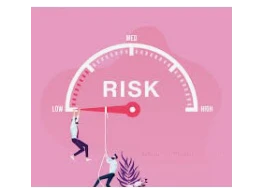 إدارة مخاطر الاستثمار وهيكل التمويل الأمثل للشركات