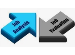 تحليل ووصف الوظائف وتقييم الأداء