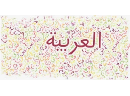 الحقيبة التدريبية الكفايات اللغوية