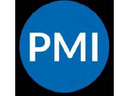 تحليل الأعمال الاحترافية (PMI-PBA)