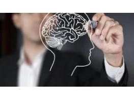 الحقيبة التدريبية إدارة العقل