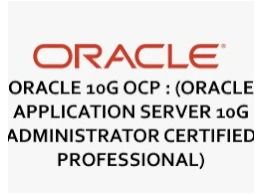 Oracle 10g Application Server Administration