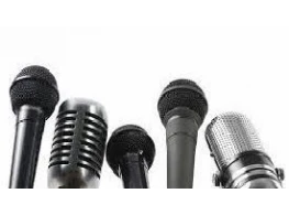 المتحدث الرسمي - المستوى الاحترافي