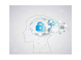 الأمن الفكري Intellectual Security