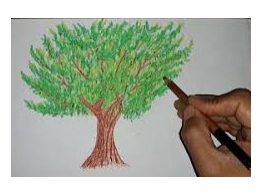 القيم التربوية وتعزيزها في المدارس