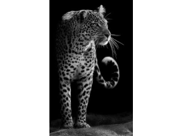 الإدارة اليابانية وتجربة النمور الآسيوية لإدارة الأزمات وحل المشكلات