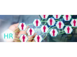 الممارسات الاحترافية لإدارة الموارد البشرية والتطوير الوظيفي