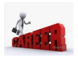 التدريب والتطوير وإدارة المسار المهني