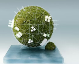 رحلة المؤسسة نحو التحول الرقمي المستدام